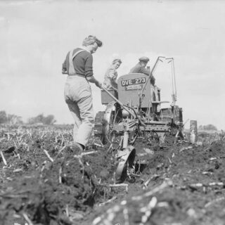 Members of the WLA help a farmer to plough reclaimed fenland in Cambridgeshire. The deep digger plough and International tractor being used are ploughing 15 inches deep. Source: IWM D 8455