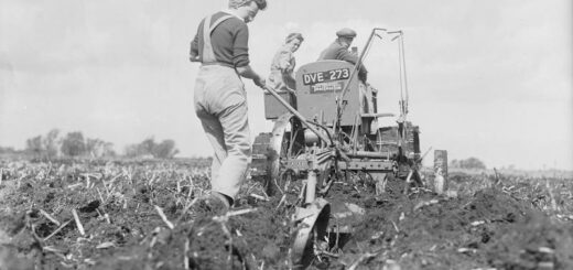 Members of the WLA help a farmer to plough reclaimed fenland in Cambridgeshire. The deep digger plough and International tractor being used are ploughing 15 inches deep. Source: IWM D 8455