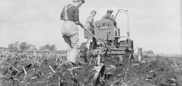 Members of the WLA help a farmer to plough reclaimed fenland in Cambridgeshire. The deep digger plough and International tractor being used are ploughing 15 inches deep. Source: IWM D 8455