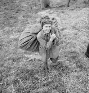 Land Girl Dorothy Sills (aged 19) from Middlesborough helps with the harvest on a farm in Yorkshire. She was a shop assistant before joining the Women's Land Army. She is shown helping with the threshing, by carrying a large sack of wheat on her shoulders. Source: IWM D 10778