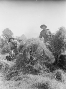 Member of the Women's Forage Corps feeding a hay baler Source: IWM Q30688