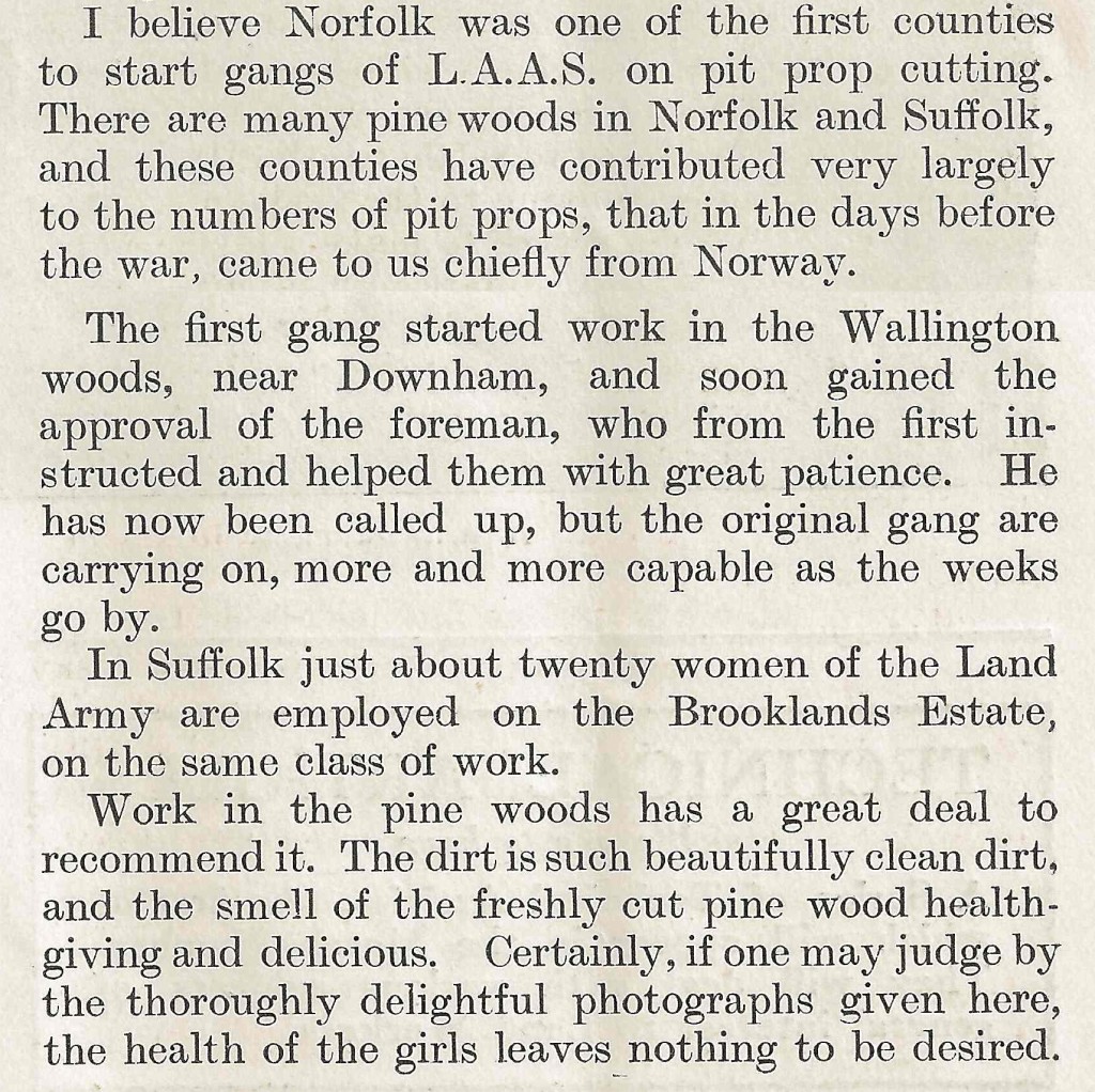 Accompanying text on the Timber Corps in Norfolk. Source: Cropped article from The Landswoman, February 1918, p25 