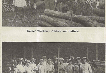 Photographs of Timber Corps in Norfolk. Source: The Landswoman, February 1918, page 26.