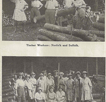 Photographs of Timber Corps in Norfolk. Source: The Landswoman, February 1918, page 26.