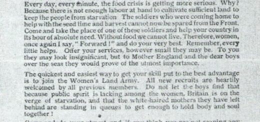 Recruiting poster [updated. c 1917] “A Landswoman’s Appeal To all Women In The Land…Join The Land Army To-day. Don’t Hesitate.” Courtesy of Stuart Antrobus