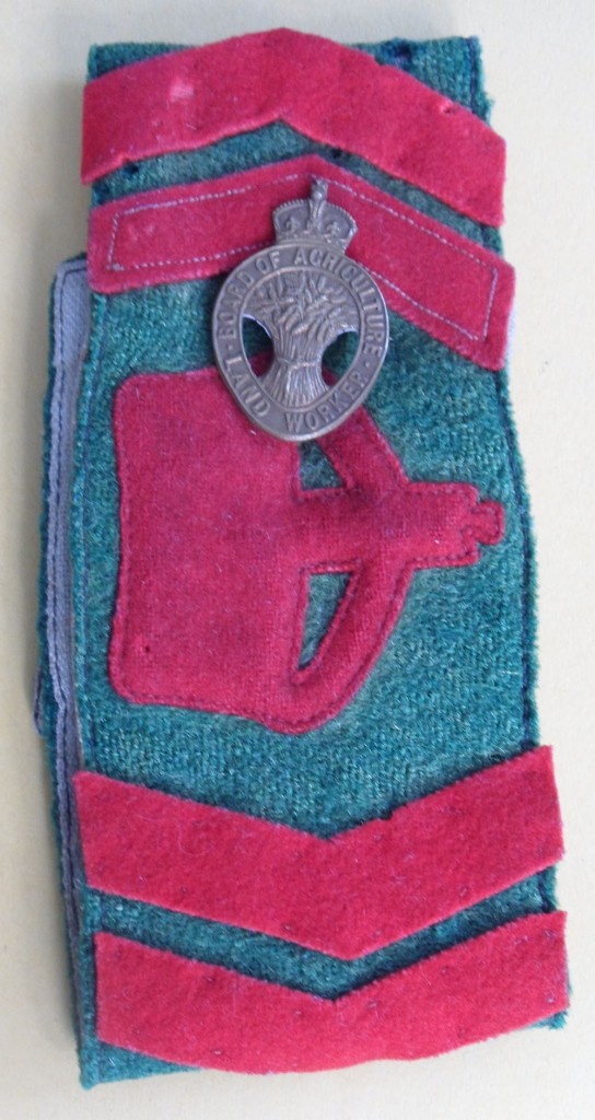 Dorothy Brown's Women's Land Army Armband and Badge