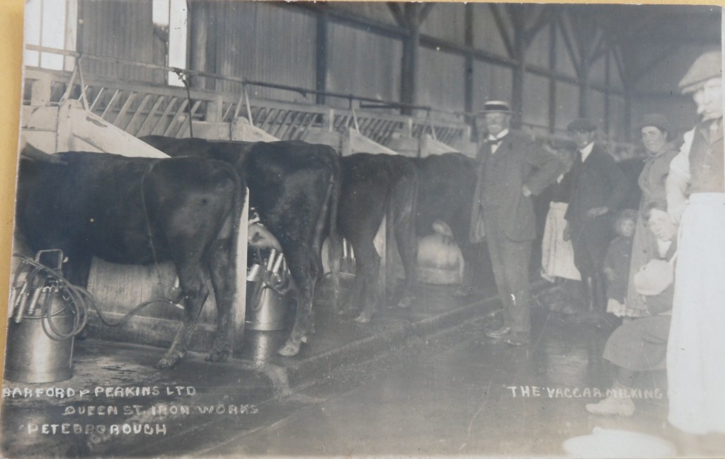 Milking at Barford and Perkins Ltd, Queen St Iron Works, Peterborough