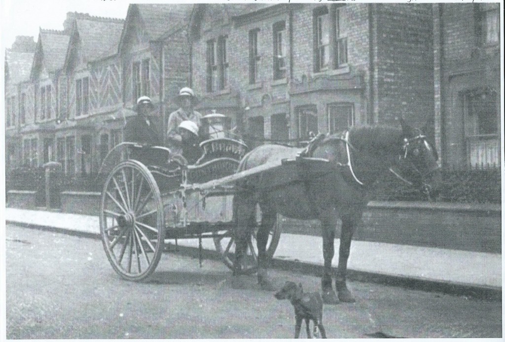 Two land girls deliver milk in horse-drawn cart for Frederick Brown, Gunthorpe, Peterborough c1917