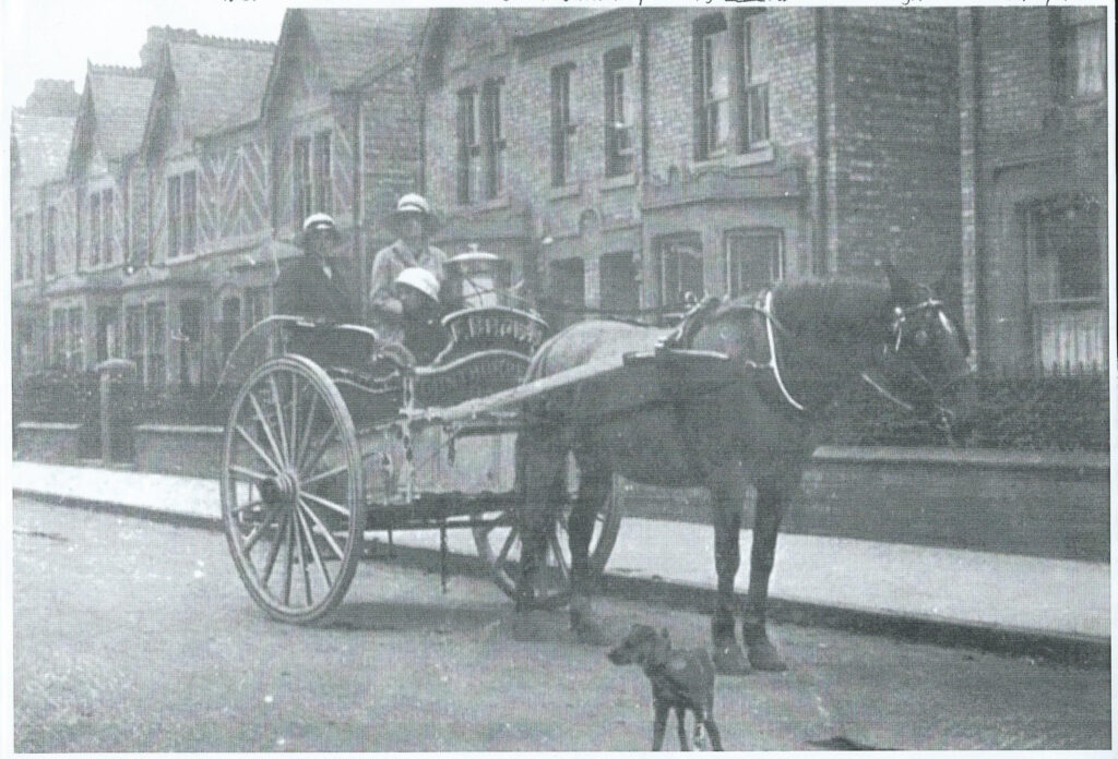 WW1 Two land girls deliver milk in horse-drawn cart for Frederick Brown, Gunthorpe, Peterborough c1917