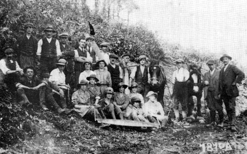 WW1 Photo: Women's Land Army Photo, near Machynlleth, c.1917 - Women's