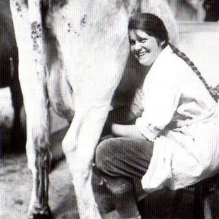 Milking and dairying - ideal work for a land girl (WW1) Source: IWM Q30681