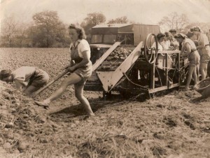 Talgarth Land Girls out in the fields Source: Tony Price