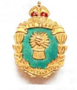 10 Year Women's Land Army Badge (1949)