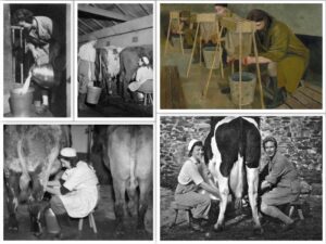 January Milking Collage