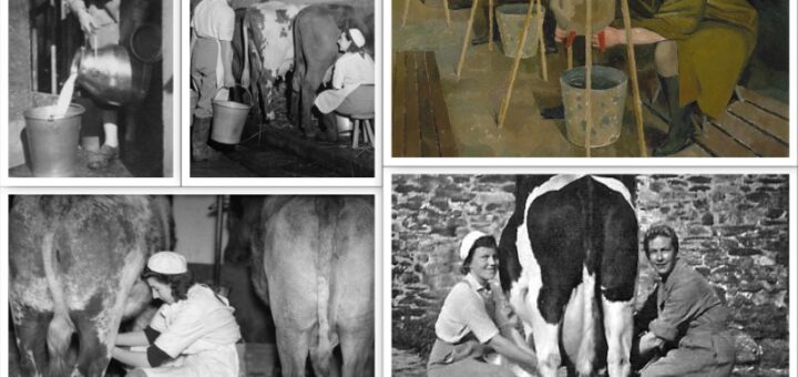 January Milking Collage