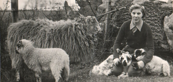 Unknown Land Girl and sheep