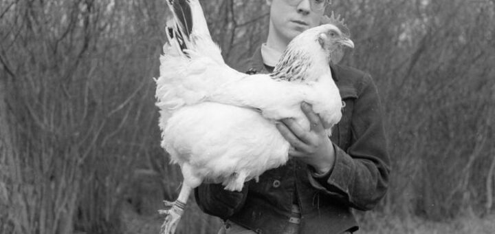 Land Girl and chicken