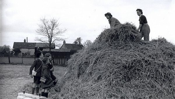 Land Girls haymaking Source: Courtesy of Stuart Antrobus.