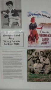 Bedford Central Library WLA Display