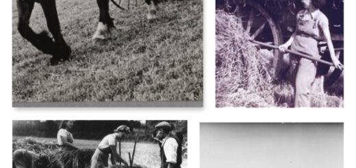 June Haymaking Collage