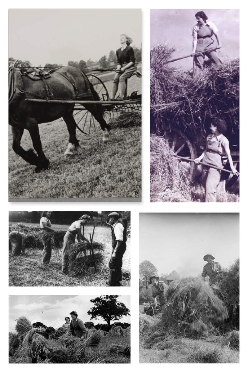 June Haymaking Collage