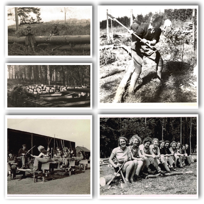 Women's TImber Corps