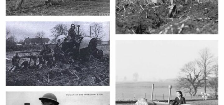 Women's Land Army Ploughing, Second World War