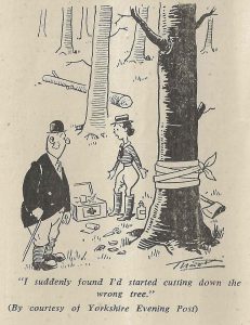 'I suddenly found I'd started cutting down the wrong tree'. By courtesy of Yorkshire Evening Post.