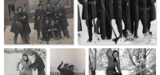 Land Girls and Lumber Jills Snow Collage