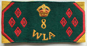 8 Year WLA Armband