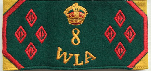 8 Year WLA Armband