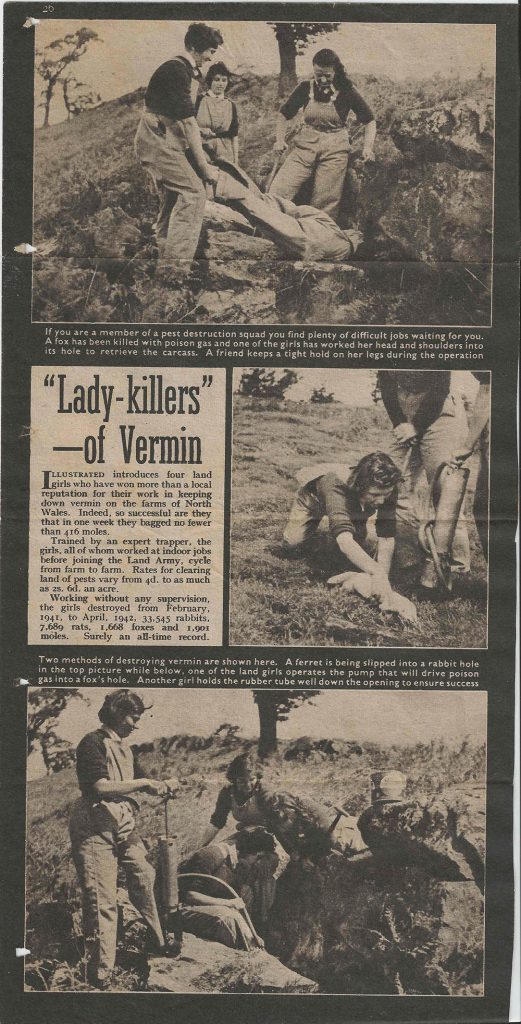 Newspaper article on the 'Lady-Killers' of Vermim