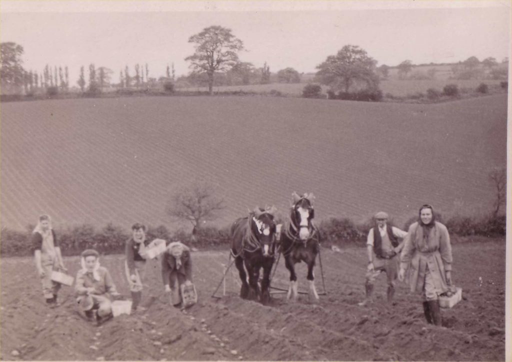 Land Girls of Battina Hous, working in the fields.