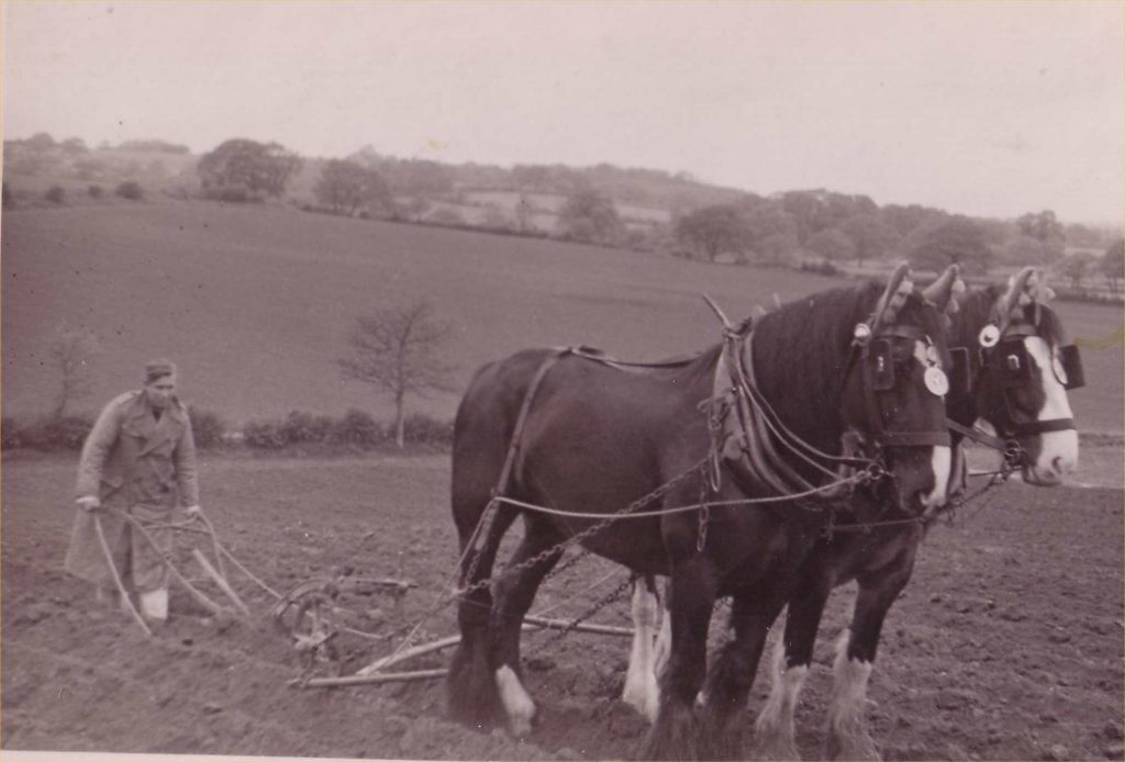 Land Girls of Battina Hous, working in the fields.