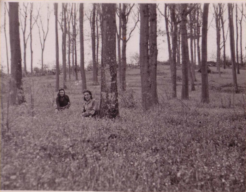 Land Girls of Battina House, working in the forests.