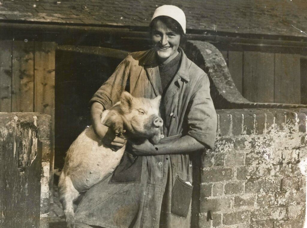 Daisy with pig. This photo published in the local paper captioned "His last picture". Pencil note 1921.