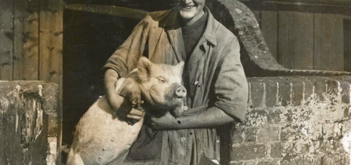 Daisy with pig. This photo published in the local paper captioned "His last picture". Pencil note 1921.