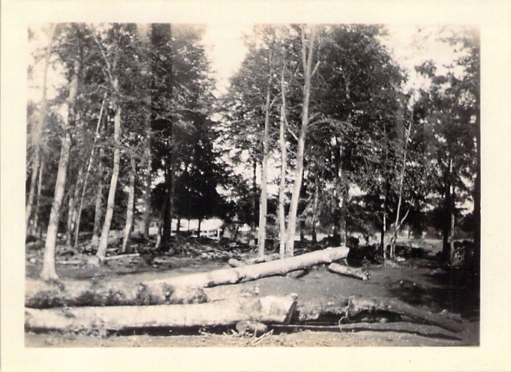 Timber yard at Cirencester