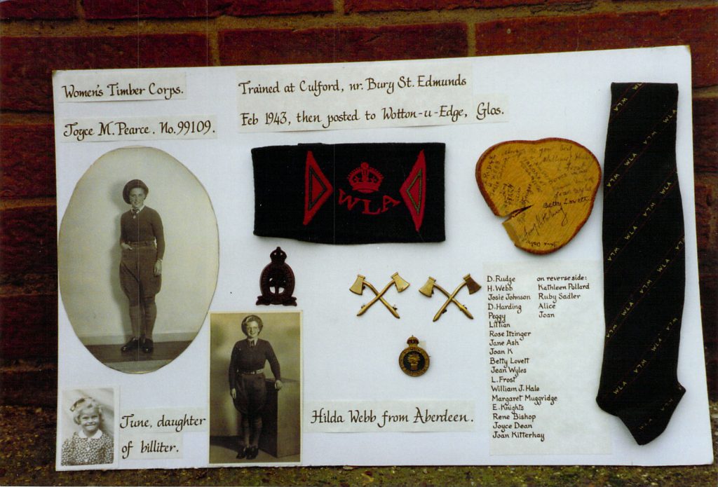 A selection of items from Joy's time in the Women's Timber Corps.