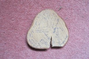 Joy's signed tree bark from her WTC training