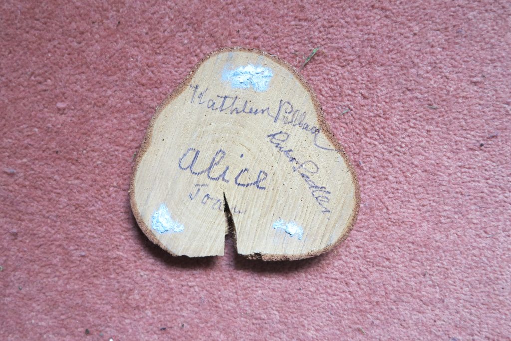 Joy's signed tree bark from her WTC training