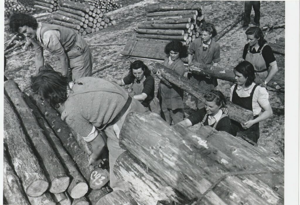 Moving logs. Gladys is in the top left hand corner with 'Aunty Eileen' helping her.  'Aunty Rene' is one of the last pair of log handlers, to the left.