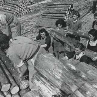 Moving logs. Gladys is in the top left hand corner with 'Aunty Eileen' helping her. 'Aunty Rene' is one of the last pair of log handlers, to the left.