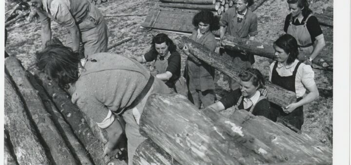 Moving logs. Gladys is in the top left hand corner with 'Aunty Eileen' helping her. 'Aunty Rene' is one of the last pair of log handlers, to the left.