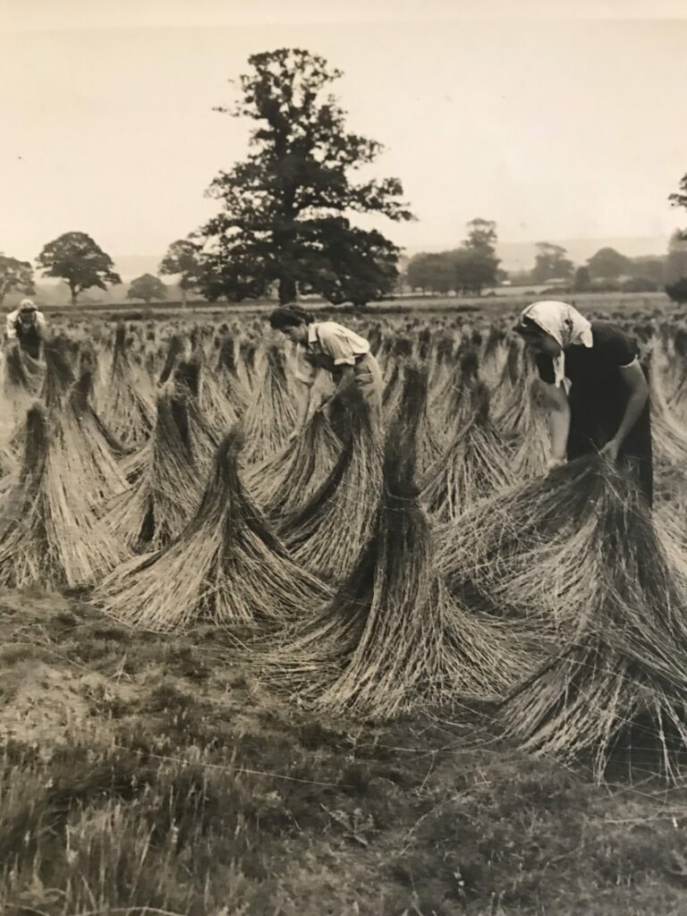 Land Girls At Pluckley