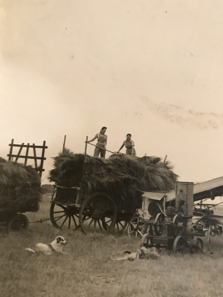 Land Girls At Pluckley