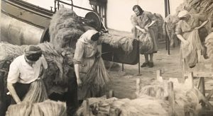 Land Girls At Pluckley