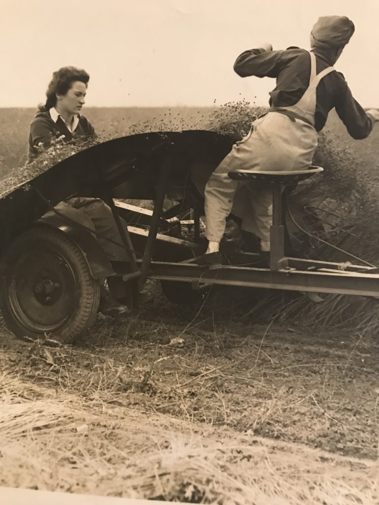 Land Girls At Pluckley