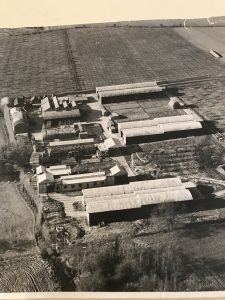 Pluckley Flax Mill