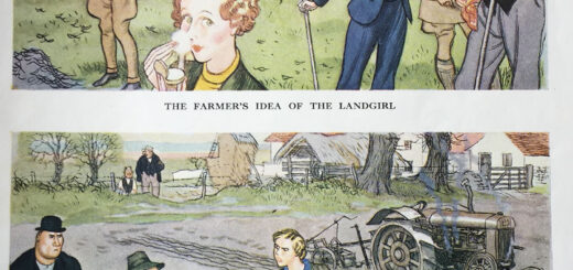 The Farmer's Idea of a Land Girl